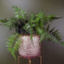 60cm Artificial Fern Plant Potted, thumbnail 3 of 3