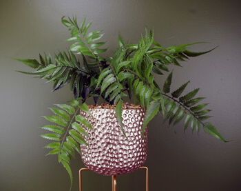 60cm Artificial Fern Plant Potted, 3 of 3