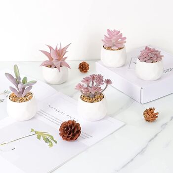 Five Mini Artificial Succulent Plants In White Pots, 2 of 11