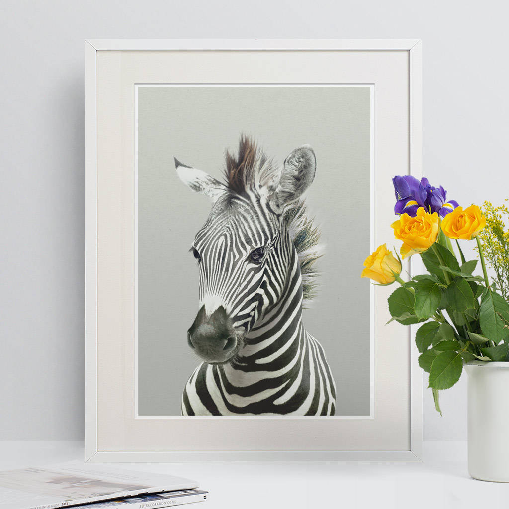 nursery decor zebra peekaboo print by strawberry valley