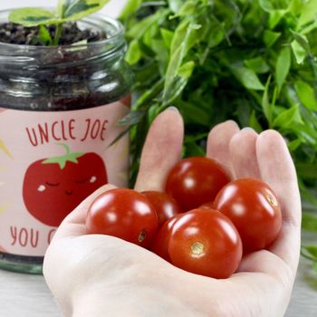 Personalised Cherry Tomato Jar Grow Kit, 6 of 12