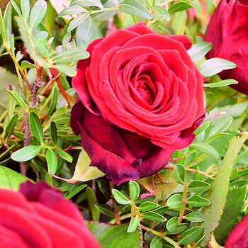 Dozen Red Roses Bouquet Of Fresh Flowers, 4 of 4