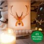 Carrot The Reindeer Painting By Numbers Kit, thumbnail 2 of 3