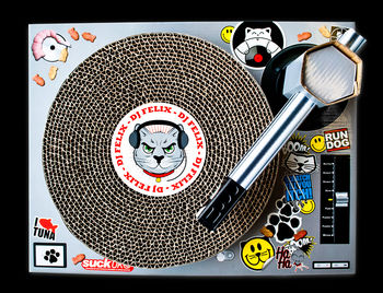 Cat Scratch Dj Deck, 5 of 5