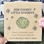 Brussels Sprouts Seed Packet Stocking Filler, thumbnail 1 of 5