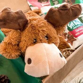 The Dog's Christmas Treat Box, 2 of 8