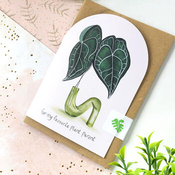 Set Of Six Houseplant Greeting Cards, 3 of 12