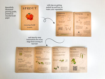 Grow Your Own Tomatoes Starter Kit, 2 of 4