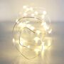 30 Battery Powered LED Silver Wire String Lights, thumbnail 4 of 5