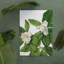 Magnolia Botanical Prints Set Of Two Framed Or Unframed, thumbnail 9 of 11