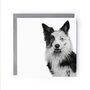 Hand Drawn Adorable Sheepdog Greeting Card, thumbnail 2 of 5