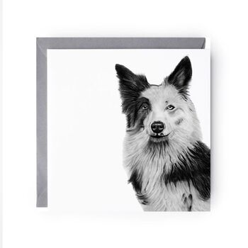 Hand Drawn Adorable Sheepdog Greeting Card, 2 of 5