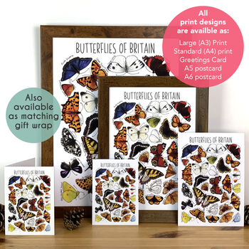 Butterflies Of Britain Art Blank Greeting Card, 3 of 10
