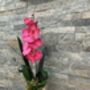 Cerise Pink Faux Silk Orchid Mothers Day Gift, thumbnail 6 of 6