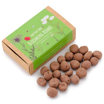 Wildflower Seedball For Bees And Butterflies 2x Boxes, 3 of 10