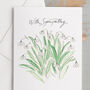 'With Sympathy' Snowdrops Bereavement Card, thumbnail 3 of 3