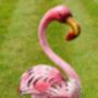 Metal Flamingo Garden Bird Statue, thumbnail 2 of 3