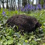 Biscuit The Hedgehog Brushwood House With Nesting Straw, thumbnail 4 of 7