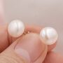 Genuine Pearl Stud Earrings In Sterling Silver, thumbnail 4 of 8