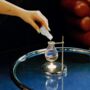 Wild Berry Fragrance Oil 10ml, thumbnail 4 of 4