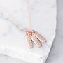 Personalised Rose Gold Plated Tag Necklace, thumbnail 1 of 7