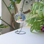 Diy Air Plant Terrarium Kit Hanging Terrarium Gift, thumbnail 3 of 10