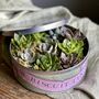 Succulents In A Biscuit Tin, thumbnail 9 of 12