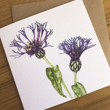Just Bees! Botanical Floral Art Card Gift Set, 4 of 5