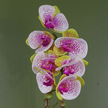 Pink Artificial Orchid Silver 46cm Harlequin Real Touch, 3 of 3
