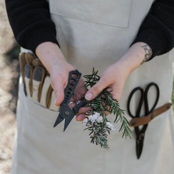 Herb Harvest And Strip Tool, 3 of 3