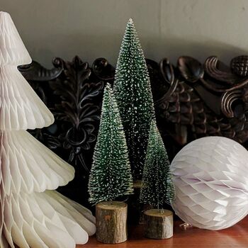 Decorative Green Bottle Brush Tree, 3 of 5