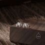 Skeleton Rib Cage Stud Earrings In Sterling Silver, thumbnail 1 of 9