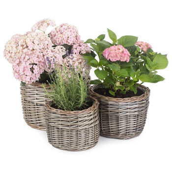 Set Of Three Round Woven Wicker Planters, 2 of 8
