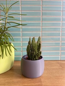 3D Printed Vibrant Plant Pot – Lightweight And Strong, 5 of 7