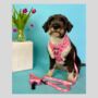 Pink Floral Dog Poo Bag Holder, thumbnail 5 of 5