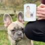 Personalised Dog Dad Insulated Travel Mug, thumbnail 12 of 12