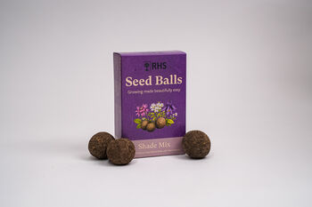 Willsow Rhs Seed Ball Bundle Wildflower, Bee And Shade, 3 of 5