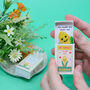 Wool Felt Sweetcorn With Love Message In A Matchbox, thumbnail 1 of 4