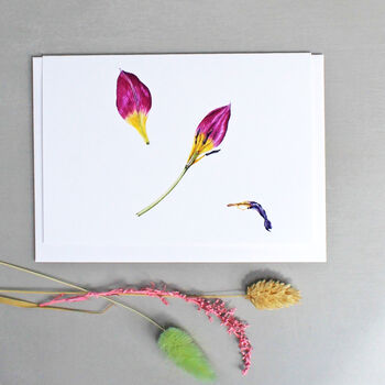 Pack Of Four Notelets With Tulip Illustrations, 3 of 3