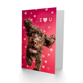I Heart You Cute Fun Cockapoo Photo Dog Lover Valentine's Card, 2 of 6