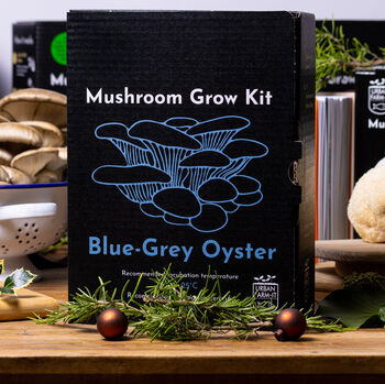 Oyster Mushroom Growing Kit, 2 of 11