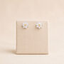 Sterling Silver And Gold July Birth Flower Stud Earrings – 8mm, thumbnail 4 of 7
