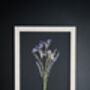 A3 Pressed Flower Art – Twilight Iris Botanical Frame In Sand, thumbnail 2 of 7