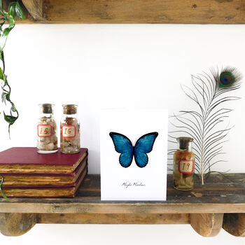 Blue Morpho Butterfly A6 Greetings Cards, 2 of 7