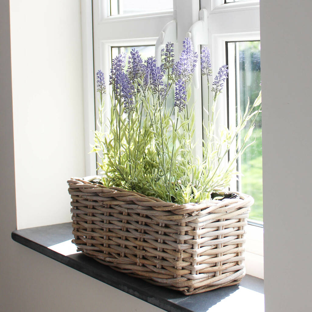 Small Rattan Window Box Planter By Marquis &amp; Dawe