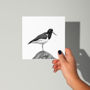 Oystercatcher Bird – Hand Drawn Coastal Greeting Card Illustration, 2 of 9