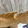 Large 30cm Hand Carved Carp Fish On Stand – Teak Root Ornament Sculpture, thumbnail 9 of 9