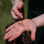 Spring Foraging Walk For One In The South Downs, thumbnail 7 of 11
