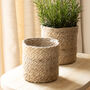 Pale Jute Plant Pot, thumbnail 1 of 4