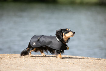 Dachshund Dog Coat, 6 of 6